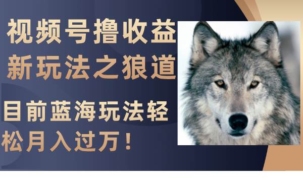 视频号撸收益新玩法之狼道，目前蓝海玩法轻松月入过万！-疯来资源