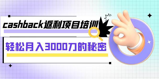 cashback返利项目培训：轻松月入3000刀的秘密（8节课）-疯来资源