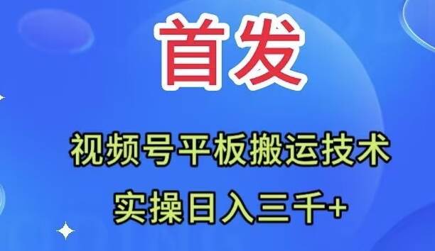 全网首发：视频号平板搬运技术，实操日入三千＋-疯来资源