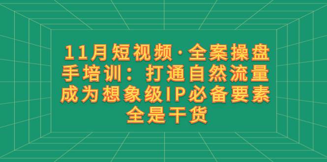 11月短视频·全案操盘手培训：打通自然流量 成为想象级IP必备要素 全是干货-疯来资源