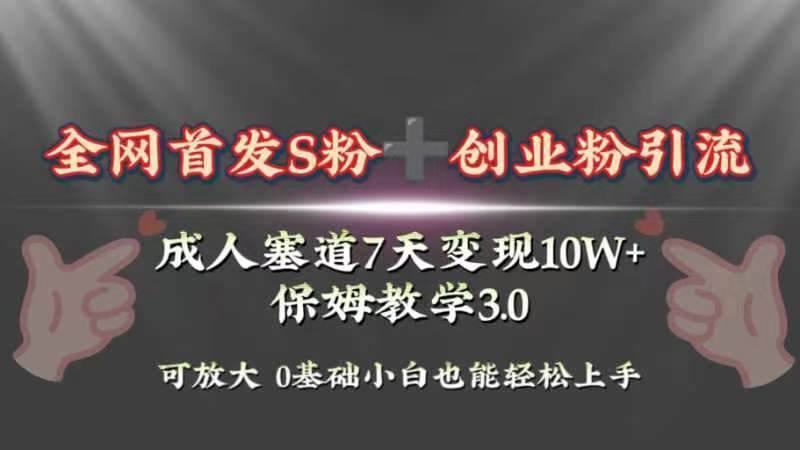 全网首发s粉加创业粉引流变现，成人用品赛道7天变现10w+保姆教学3.0-疯来资源
