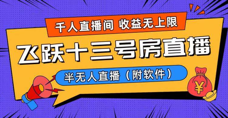 爆火飞跃十三号房半无人直播，一场直播上千人，日入过万！（附软件）-疯来资源