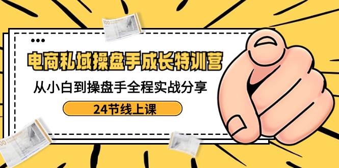 电商私域-操盘手成长特训营：从小白到操盘手全程实战分享-24节线上课-疯来资源