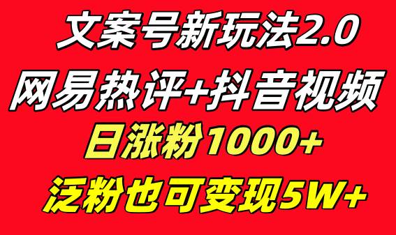 文案号新玩法 网易热评+抖音文案 一天涨粉1000+ 多种变现模式 泛粉也可变现-疯来资源