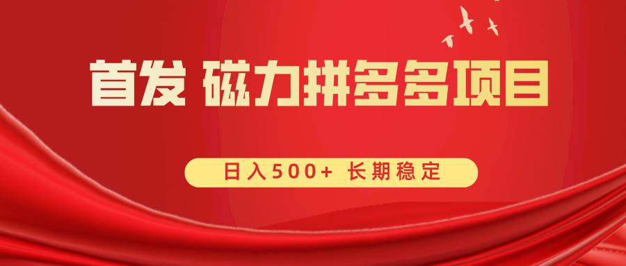 首发 磁力拼多多自撸  日入500+-疯来资源