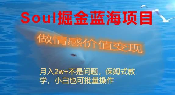 Soul掘金蓝海项目细分赛道，做情感价值变现，月入2w+不是问题-疯来资源