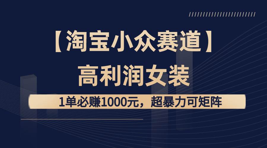 【淘宝小众赛道】高利润女装：1单必赚1000元，超暴力可矩阵-疯来资源