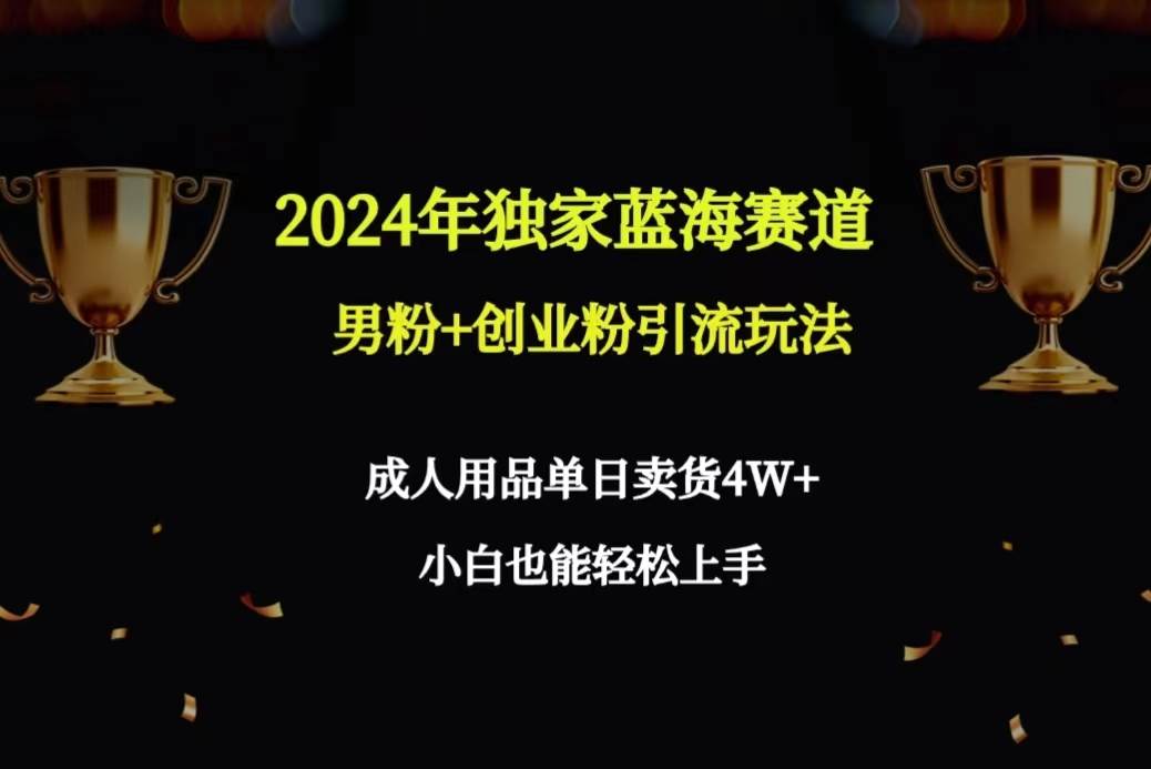 2024年独家蓝海赛道男粉+创业粉引流玩法，成人用品单日卖货4W+保姆教程-疯来资源