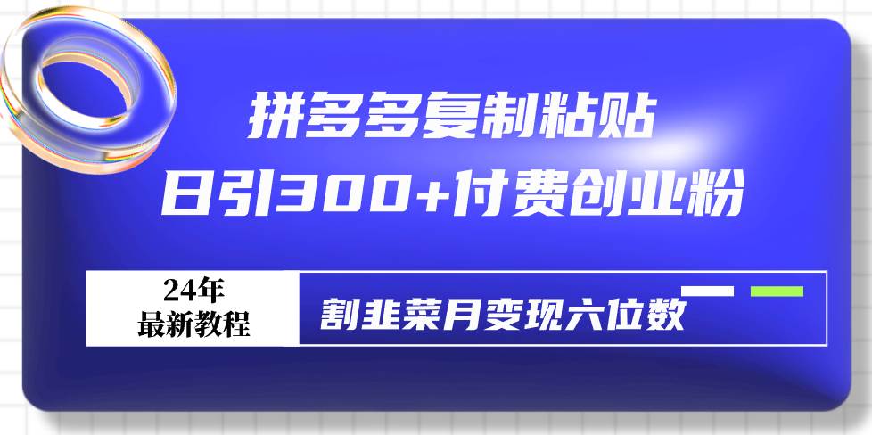 拼多多复制粘贴日引300+付费创业粉，割韭菜月变现六位数最新教程！-疯来资源