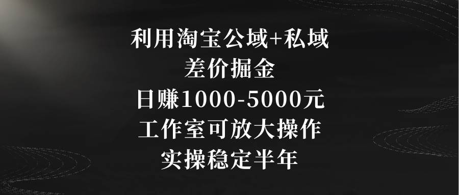 利用淘宝公域+私域差价掘金，日赚1000-5000元，工作室可放大操作，实操…-疯来资源