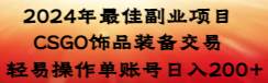 2024年最佳副业项目 CSGO饰品装备交易 轻易操作单账号日入200+-疯来资源