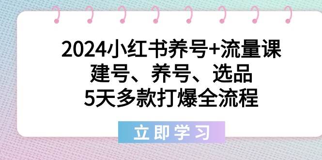 2024小红书养号+流量课：建号、养号、选品，5天多款打爆全流程-疯来资源