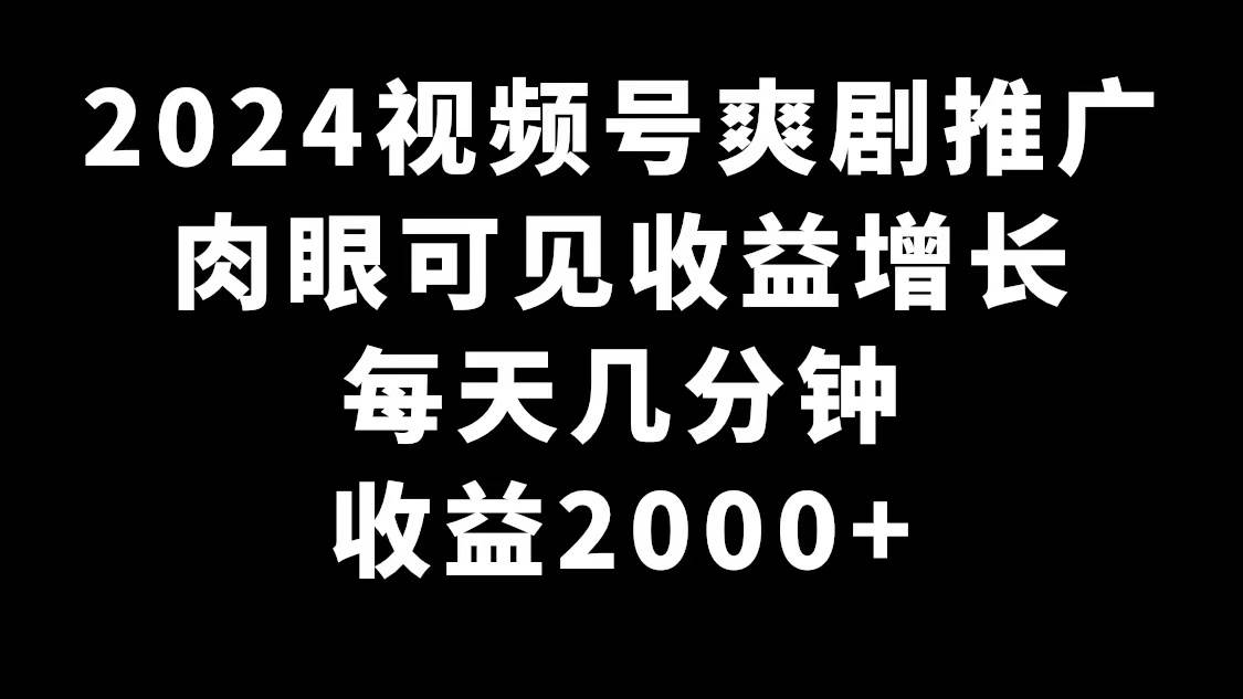 2024视频号爽剧推广，肉眼可见的收益增长，每天几分钟收益2000+-疯来资源