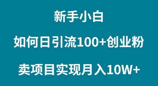 新手小白如何通过卖项目实现月入10W+-疯来资源