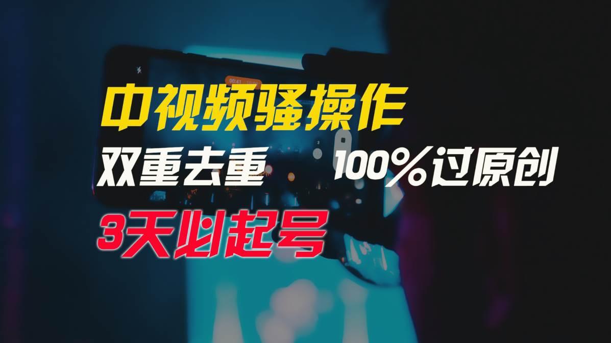 中视频骚操作，双重去重100%过原创，3天比必起号，简单无脑，月入3W+-疯来资源