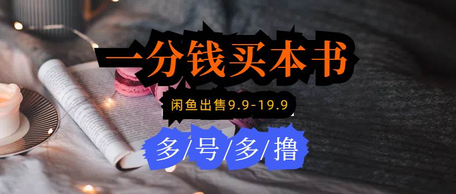 每天花1分钱买一本书，闲鱼出售9.9-19.9不等，多账号多撸 新手小白均可操作-疯来资源