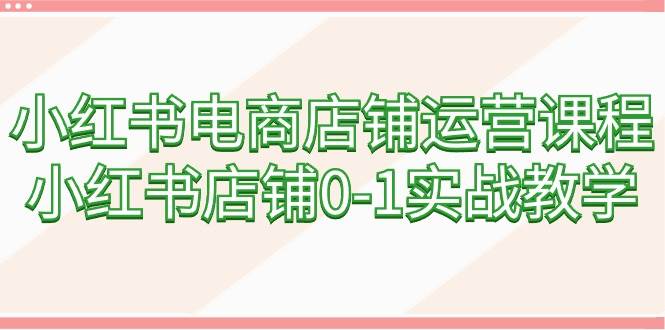 小红书电商店铺运营课程，小红书店铺0-1实战教学（60节课）-疯来资源