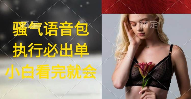 执行就出单，日入2000+，超火骚气语音包，小白看完课程就能马上实操-疯来资源