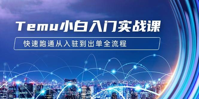 Temu小白入门实战课：跨境拼多多电商培训 快速跑通从入驻到出单全流程-12节-疯来资源