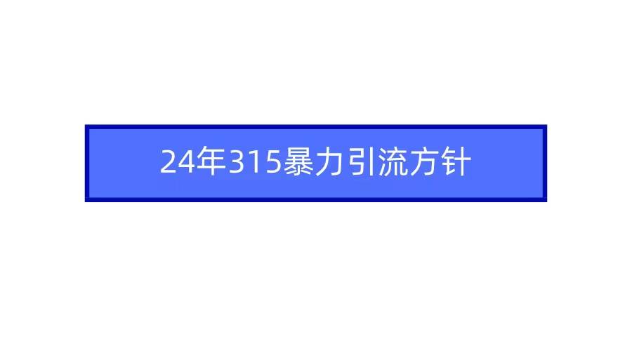 2024年315暴力引流方针-疯来资源
