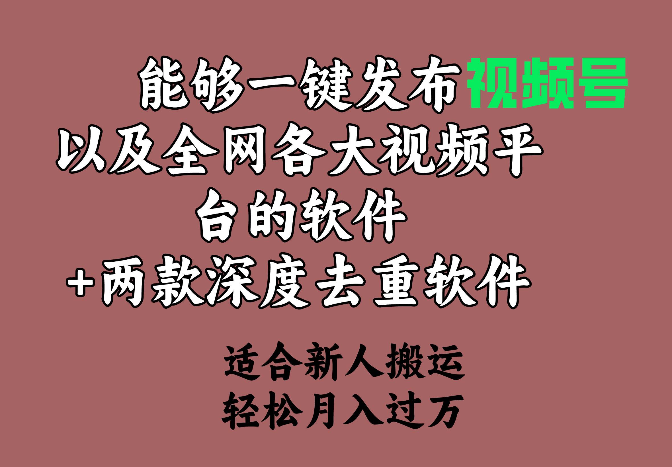 能够一键发布视频号以及全网各大视频平台的软件+两款深度去重软件 适合…-疯来资源