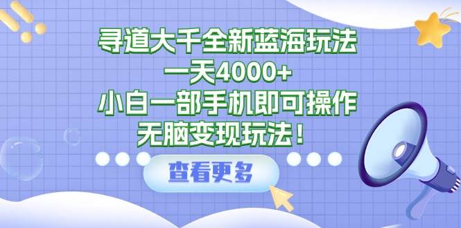 寻道大千全新蓝海玩法，一天4000+，小白一部手机即可操作，无脑变现玩法！-疯来资源