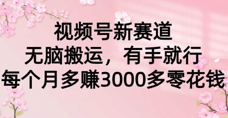 视频号新赛道，无脑搬运，有手就行，每个月多赚3000多零花钱-疯来资源