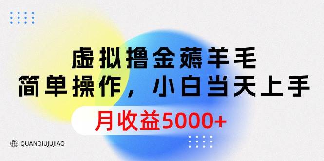 虚拟撸金薅羊毛，简单操作，小白当天上手，月收益5000+-疯来资源