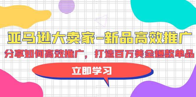 亚马逊 大卖家-新品高效推广，分享如何高效推广，打造百万美金爆款单品-疯来资源