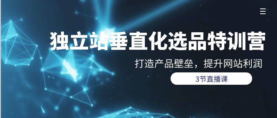 独立站-垂直化选品训练营，打造产品壁垒，提升网站利润（3节直播课）-疯来资源