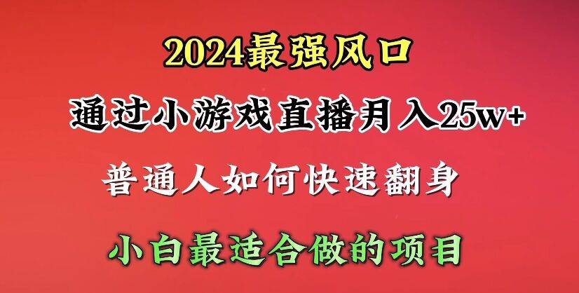 2024年最强风口，通过小游戏直播月入25w+单日收益5000+小白最适合做的项目-疯来资源