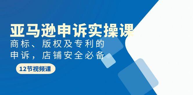 亚马逊-申诉实战课，商标、版权及专利的申诉，店铺安全必备-疯来资源