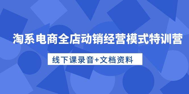 淘系电商全店动销经营模式特训营，线下课录音+文档资料-疯来资源