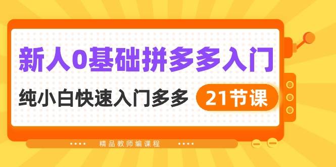 新人0基础拼多多入门，纯小白快速入门多多（21节课）-疯来资源
