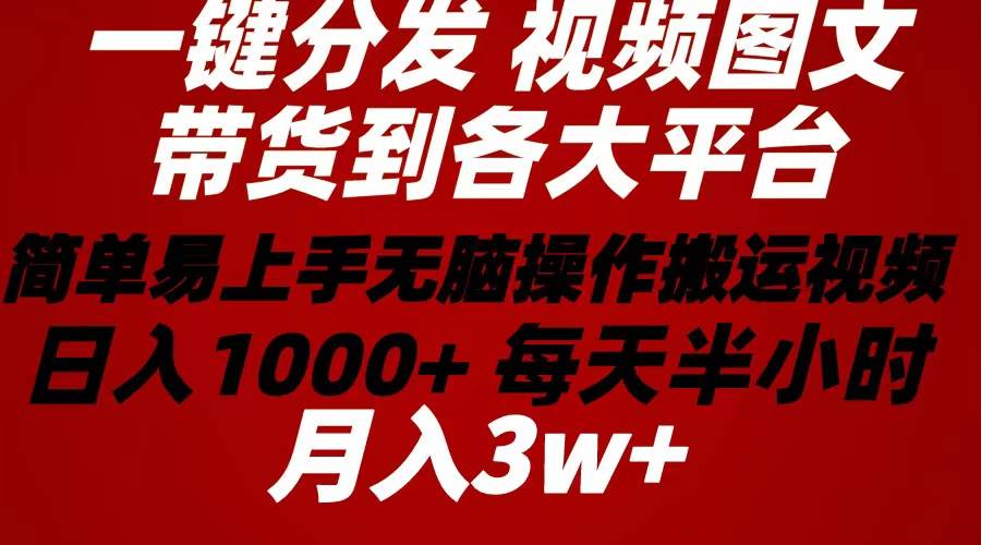 2024年 一键分发带货图文视频  简单易上手 无脑赚收益 每天半小时日入1…-疯来资源