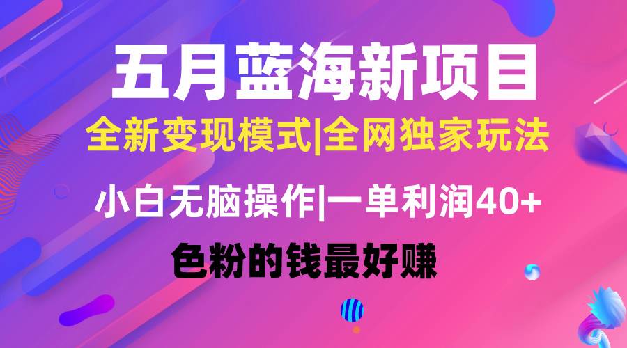五月蓝海项目全新玩法，小白无脑操作，一天几分钟，矩阵操作，月入4万+-疯来资源