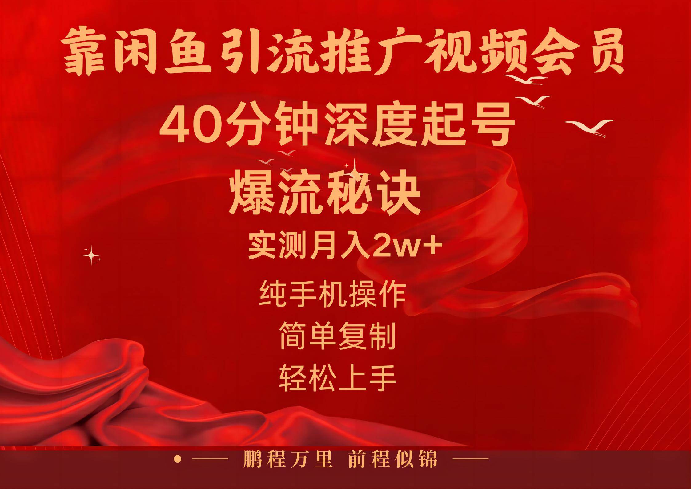 闲鱼暴力引流推广视频会员，能做到日入2W+，操作简单-疯来资源