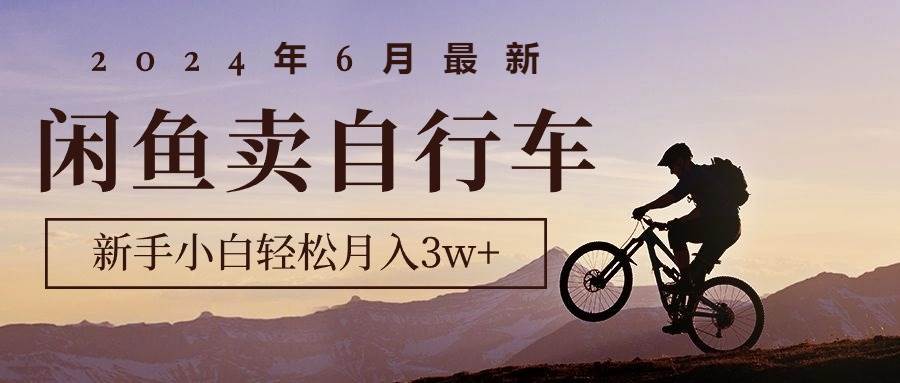2024年6月最新闲鱼卖自行车，新手小白轻松月入3w+项目-疯来资源