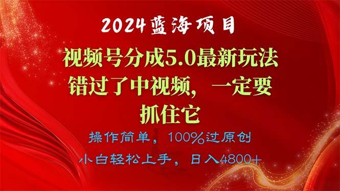 2024蓝海项目，视频号分成计划5.0最新玩法，错过了中视频，一定要抓住…-疯来资源