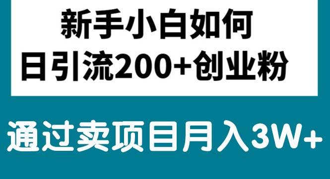 新手小白日引流200+创业粉,通过卖项目月入3W+-疯来资源