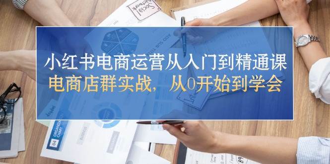小红书电商运营从入门到精通课，电商店群实战，从0开始到学会-疯来资源