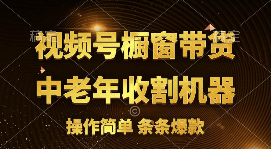 [你的孩子成功取得高位]视频号最火爆赛道，橱窗带货，流量分成计划，条…-疯来资源