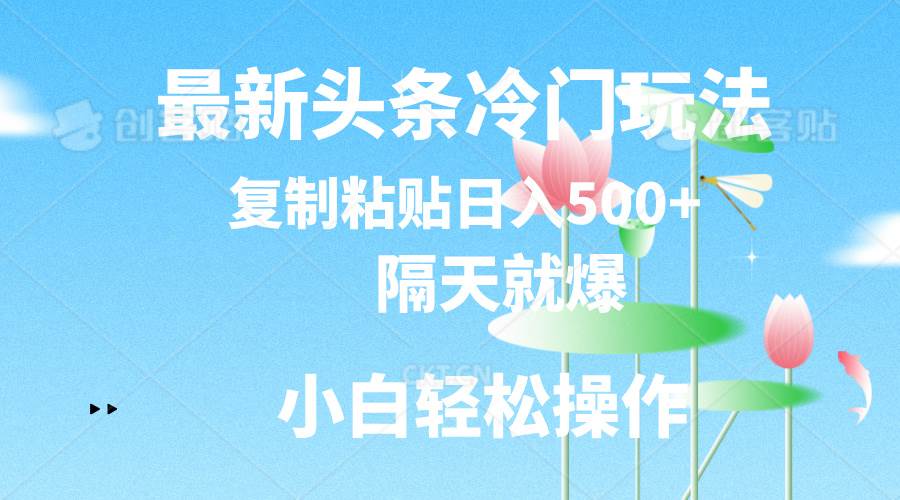 最新头条冷门玩法，隔天就爆，复制粘贴日入500+-疯来资源