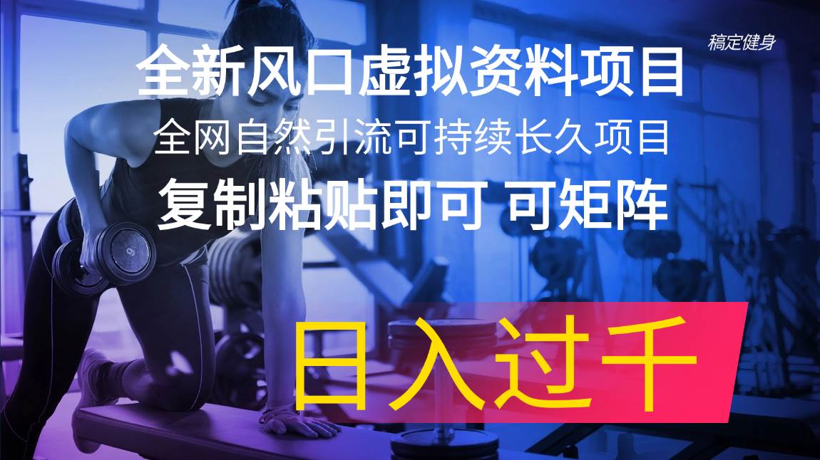 全新风口虚拟资料项目 全网自然引流可持续长久项目 复制粘贴即可可矩阵…-疯来资源