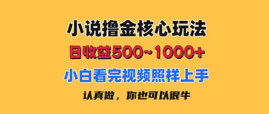 小说撸金核心玩法，日收益500-1000+，小白看完照样上手，0成本有手就行-疯来资源