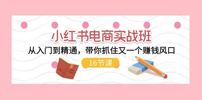 小红书电商实战班，从入门到精通，带你抓住又一个赚钱风口（16节）-疯来资源