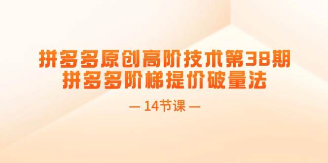 拼多多原创高阶技术第38期，拼多多阶梯提价破量法（14节课）-疯来资源