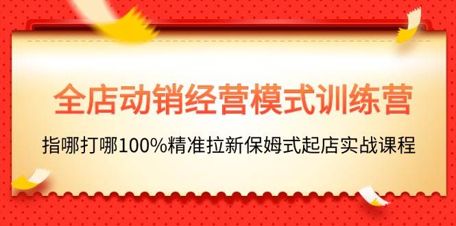 全店动销-经营模式训练营，指哪打哪100%精准拉新保姆式起店实战课程-疯来资源