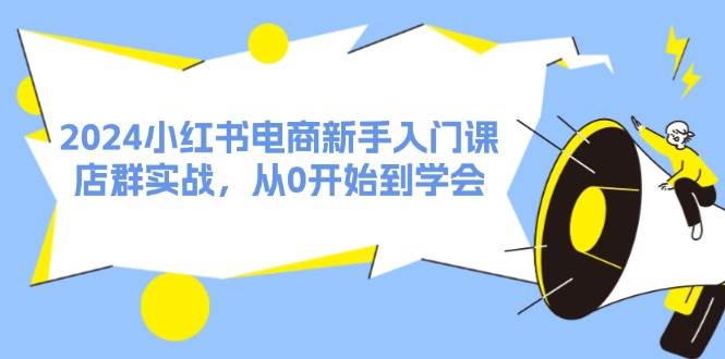 2024小红书电商新手入门课，店群实战，从0开始到学会（31节）-疯来资源