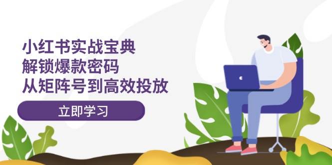 小红书实战宝典：解锁爆款密码，从矩阵号到高效投放-疯来资源